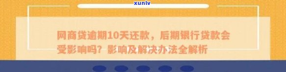 信用卡和网商银行逾期先还哪个划算：网商贷与信用卡对比