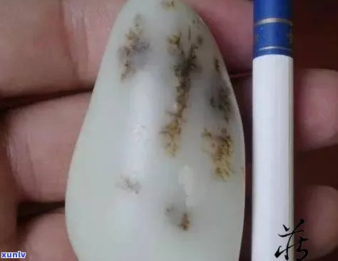 黑草和籽料和玉石-黑草和籽料和玉石哪个好