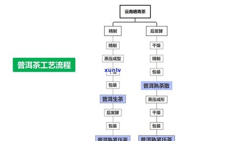 放了十几年的生普价格与市场走势分析：投资收藏指南