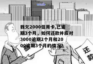 如何应对银行信用卡2000元逾期还款问题