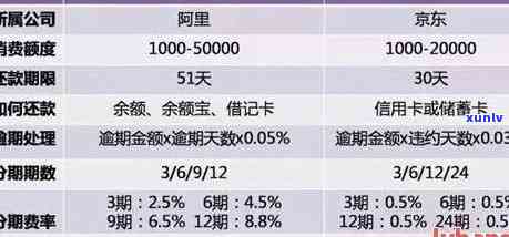 破解欠信用卡钱难题：实用还债策略助你重拾财务自由