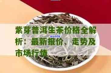 紫鹃普洱茶价格解析：稀有茶叶的市场行情与消费指南