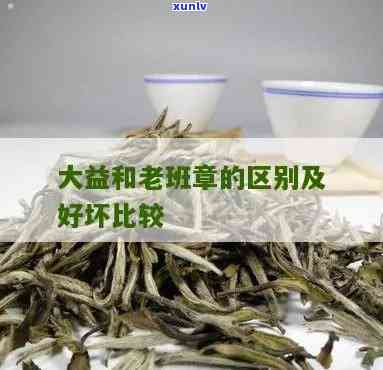 老班章和大益茶哪个好：区别、评价与选择