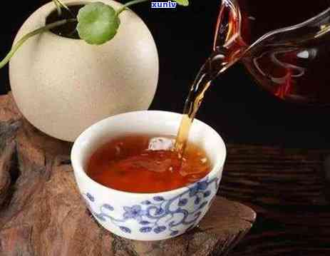 探索云南：品尝高性价比普洱茶，尽享茶香韵味