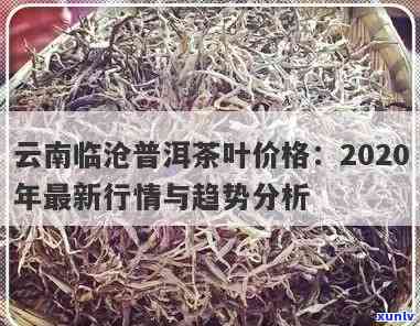 探寻云南普洱绿茶市场价格：最新数据一览