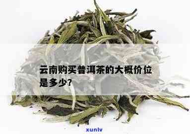 云南普洱茶绿茶价格与功效：喝一斤多少钱？