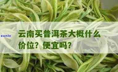 云南普洱茶绿茶价格与功效：喝一斤多少钱？