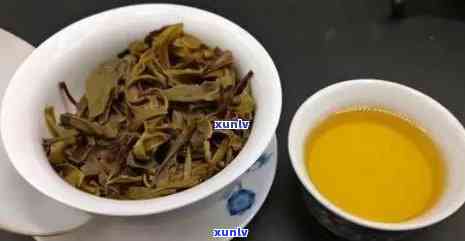 普洱秋茶和春茶的价格区别是什么？口感上有何不同？