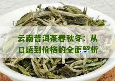 普洱秋茶和春茶的价格区别是什么？口感上有何不同？