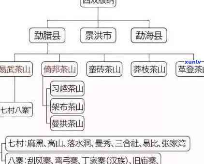 冰岛老班章易武区别：山头茶特色解析