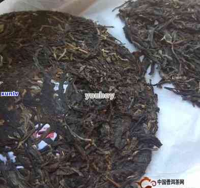 古树普洱生茶价格表-古树熟普洱茶价格