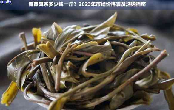 2023年中粮中茶普洱茶价格及购买指南：经典配方，优质生茶熟茶饼