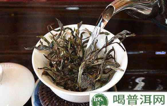 革登普洱茶好不好：云南革登山古茶特点解析