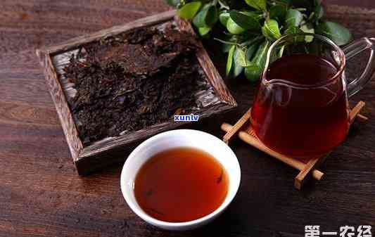 革登茶：生茶与熟茶的辨别之道