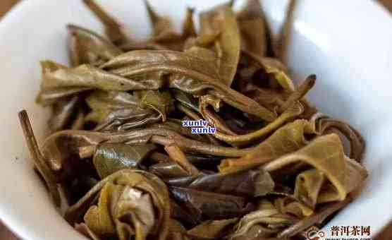 革登茶：生茶与熟茶的辨别之道