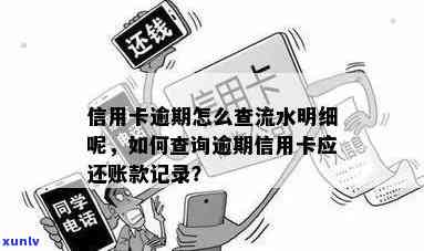 信用卡逾期明细怎么打印的？如何查询信用卡逾期记录和应还账款