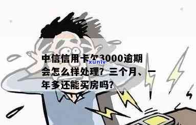 陈升号200克老班章与其它年份对比，探讨升值空间和投资价值