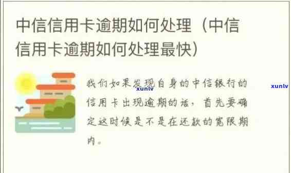 逾期3000元的中信信用卡会有哪些后果？