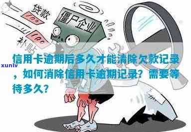 详解信用卡逾期清除步骤，恢复信用记录的攻略