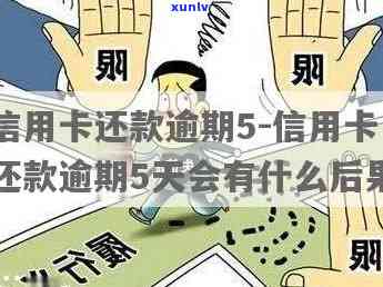 翡翠长寿龟形手串的价值与真伪鉴别 *** ，如何保养及市场行情分析