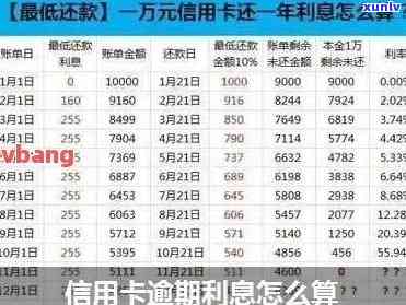 10万信用卡逾期利息-10万信用卡逾期利息怎么算