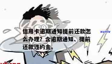  *** 逾期还款怎么办？包括提前还款违约金、提现后再还款与退款提现相关问题