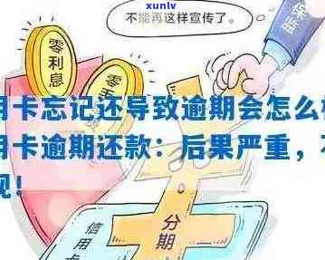 信用卡逾期还款将面临哪些后果？如何避免？