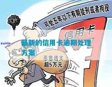 应对信用卡逾期：向银发部门报告的解决策略