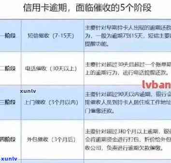 应对信用卡逾期：向银发部门报告的解决策略