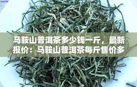 马鞍山普洱茗茶价格表：生茶图片与价格一览