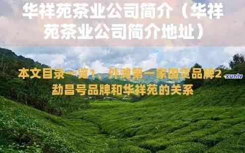 华祥苑茗茶公司介绍：股份概览