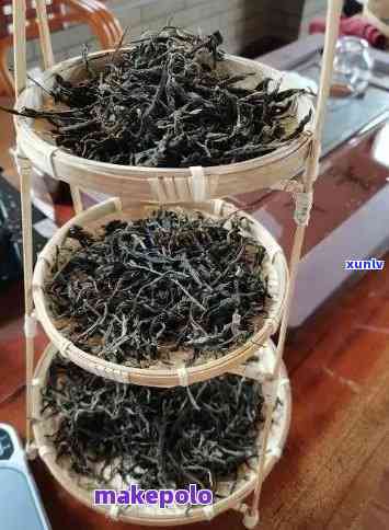 探秘普洱茶0582: 传统工艺与现代风味的完美结合