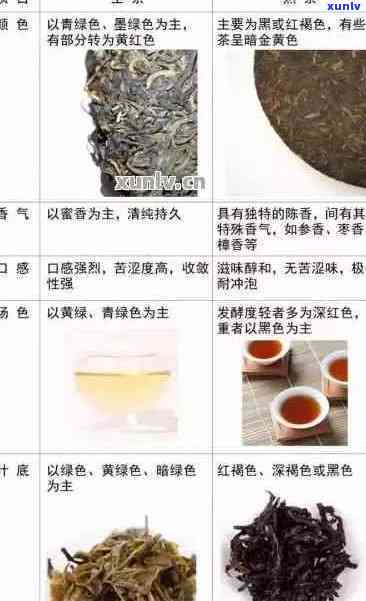 普洱生茶8542与熟茶对比：饮用 *** 与功效解析