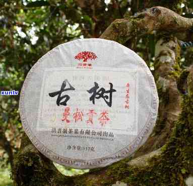 谷普洱生饼茶价格-谷普洱生饼茶价格2013年