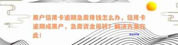 网黑信用卡逾期缺钱怎么处理：网黑、信用卡逾期、 *** 解决方案