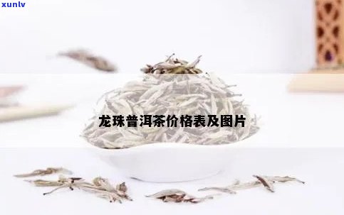 普洱古树龙珠茶价格详情与性价比分析