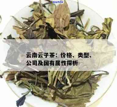 云南云子茶真的是普洱茶怎么样：价格表与品质分析