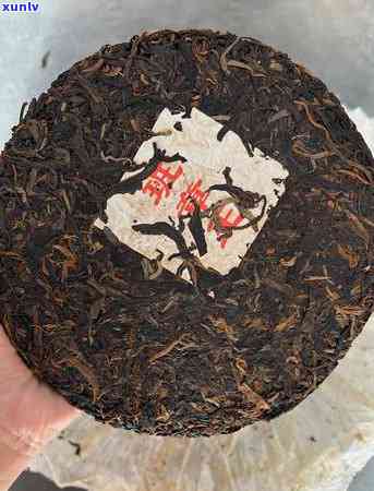 探寻勐海班章老树茶厂2006年份珍品茶的魅力