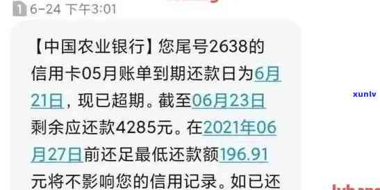 农业信用卡怎么查询逾期记录：农行信用卡逾期明细查询指南