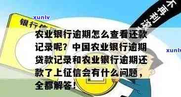 农业信用卡怎么查询逾期-农业信用卡怎么查询逾期记录