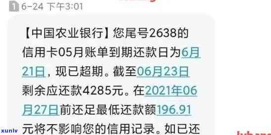 农业信用卡怎么查询逾期-农业信用卡怎么查询逾期记录