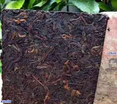 1976年布朗山老班章茶砖：古树茶与普洱茶的珍贵差异