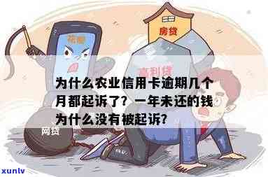 农业信用卡逾期几个月被诉，原因何在？