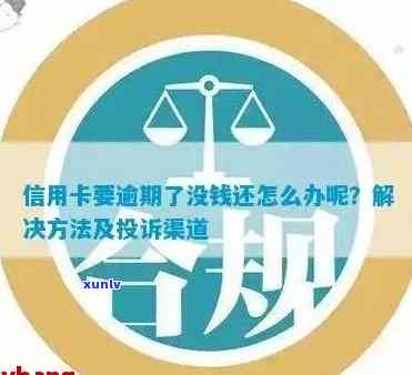 如何正确举报信用卡欠款违约行为