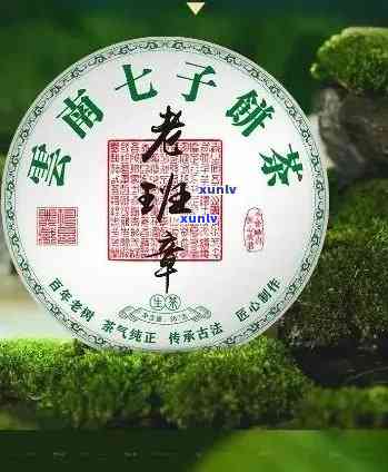 云南七子老班章普洱茶价格对比：300年树龄熟茶一饼357克多少钱？