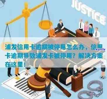 解决浦发信用卡逾期封卡问题的 *** 