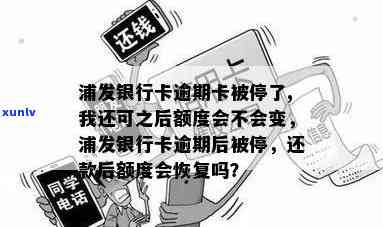 逾期停卡后，浦发银行卡用户关注额度变化