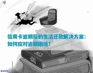 信用卡全面逾期，如何破解生存困境？