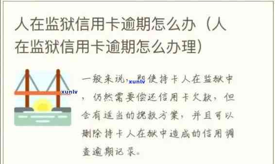 丈夫突然入狱信用卡逾期了，怎么办？