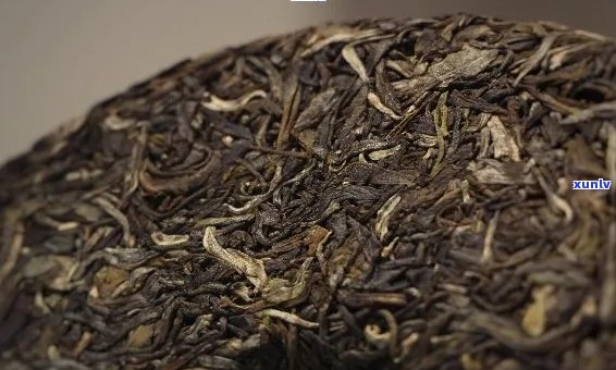 探究13年生普洱茶的品质与口感特点